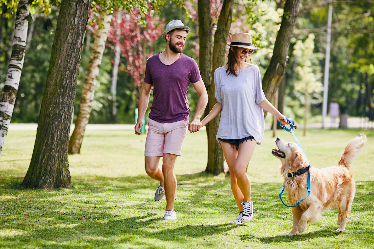 4 Dog Parks To Check Out In The Summerville Area | Martin Freeman Group ...